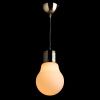 Светильник подвесной Arte Lamp Edison (Едисон) A1402SP-1SS