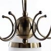 Люстра потолочная Arte Lamp Noemi (Ноеми) A6192PL-5AB