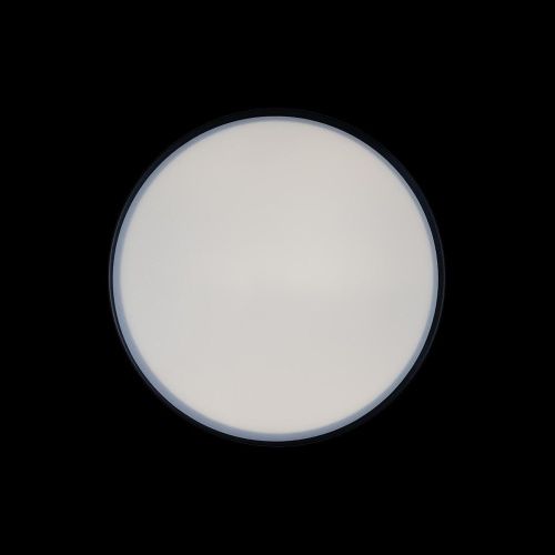 Светильник потолочный Loft It Axel 10002/12 Black - фото 4