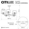 Люстра на штанге Citilux Alton (Алтон) CL421252