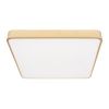 Светильник потолочный Loft It Flims 10228/D