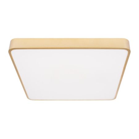 Светильник потолочный Loft It Flims 10228/D
