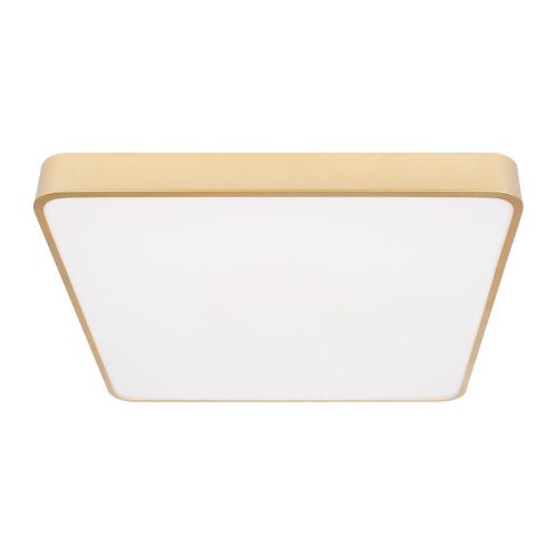 Светильник потолочный Loft It Flims 10228/D - фото 5