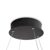 Светильник подвесной Freya Collie (Колли) FR6200PL-L132B