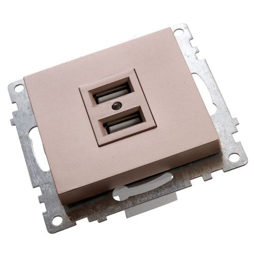 Розетка USB 2-местная Stekker Катрин 39602 - фото 2