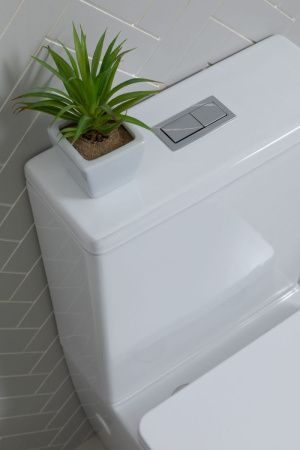 Чаша унитаза напольная Aquanet Tavr Tavr 2.0 C1 цвет белый без бачка с сиденьем микролифт безободковая каскадный смыв