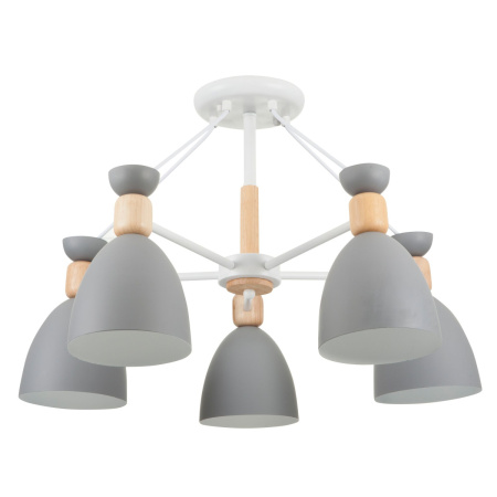 Люстра на штанге Freya Delia (Делия) FR5033CL-05W