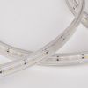 Светодиодная лента Elektrostandard LS015 220V 4690389170973