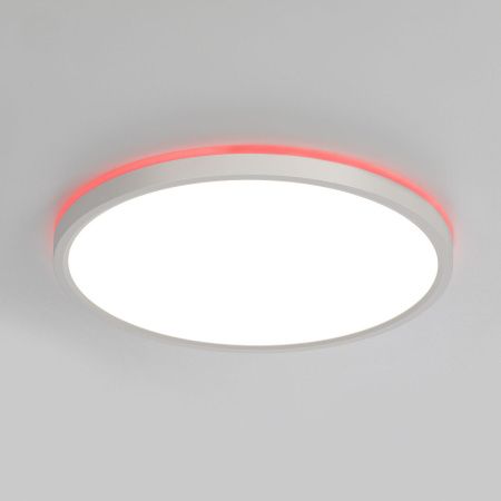 Светильник потолочный Citilux Norma (Норма) CL749320