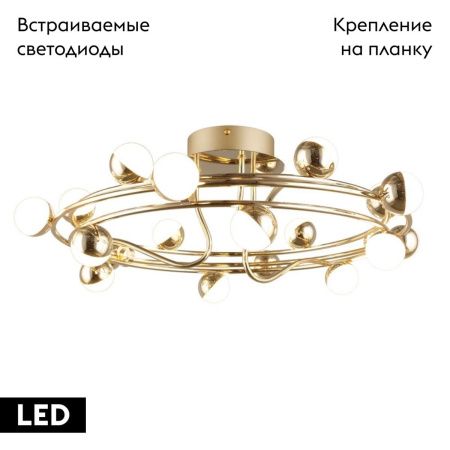 Люстра потолочная Aployt Delfin (Делфин) APL.774.07.54