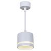 Светильник подвесной Reluce 53001-0.9-001LD GX53 WT