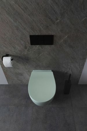 Чаша унитаза подвесная Allen Brau Fantasy 4.11004.MT цвет зеленый без сиденья безободковая каскадный смыв