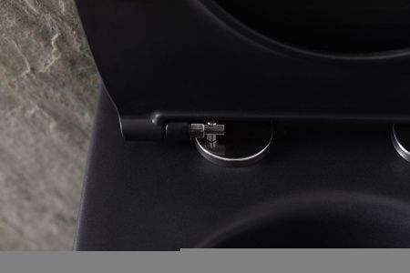 Чаша унитаза подвесная Allen Brau Reality 4.32006.31 цвет черный без сиденья безободковая каскадный смыв