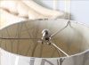 Настольная лампа Delight Collection Table Lamp (Табле Ламп) KR0707T-1