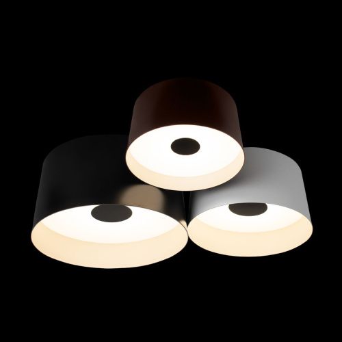 Светильник потолочный Loft It Duo 10360/3 - фото 2