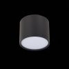 Светильник потолочный ST Luce Rene (Рене) ST113.432.09