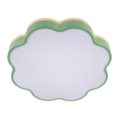 Светильник потолочный Loft It Axel 10225/36 Green - фото 5