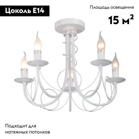 Люстра потолочная Vitaluce V3035-0/5PL