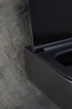 Чаша унитаза подвесная Allen Brau Priority 4.31001.31 цвет черный матовый без сиденья безободковая каскадный смыв