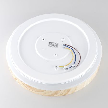 Светильник потолочный музыкальный Citilux Enzo (Ензо) CL753352G