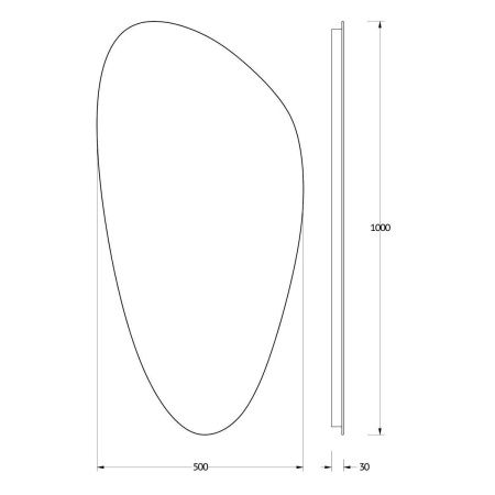 Зеркало с подсветкой Evoform Ledshine BY 2592 50х100 подвесное