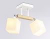 Светильник потолочный Ambrella Light Traditional (Традитионал) TR9511