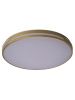Светильник потолочный Zortes Gabby (Габбы) ZRS.90610.50