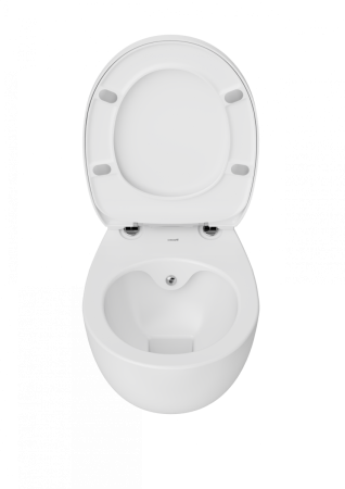 Чаша унитаза подвесная Creavit Foglia FG321-00CB00E-0000 цвет белый без сиденья душевой смыв