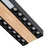 Светильник потолочный F-Promo Zebra (Зебра) 4440-2C