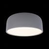 Светильник потолочный Loft It Axel 10201/350 Grey
