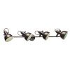Спот Arte Lamp Martin (Мартин) A5215PL-4BR