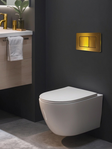 Клавиша смыва механическая AltroBagno Beni aggiuntivi AltroBagnoPFP003GQ цвет золото матовое - фото 2