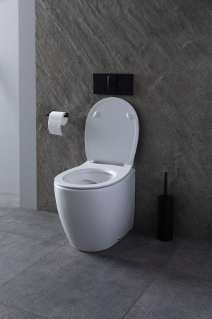 Унитаз приставной Allen Brau Fantasy 4.11007.20 белый с сиденьем микролифт безободковый каскадный смыв