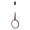 Светильник подвесной ST Luce Shape (Схапе) SL6131.403.12