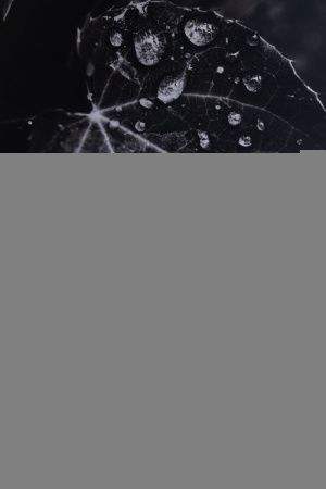 Раковина керамическая Allen Brau Fantasy 4.11021.31 50х40 накладная цвет черный без отверстий под смеситель