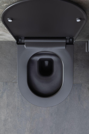 Чаша унитаза подвесная Allen Brau Priority 4.31002.AN цвет черный без сиденья безободковая каскадный смыв