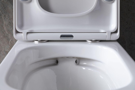 Чаша унитаза подвесная Allen Brau Liberty 4.33004.20 цвет белый без сиденья безободковая каскадный смыв