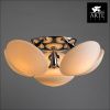 Люстра потолочная Arte Lamp Soffione (Соффионе) A2550PL-6CC
