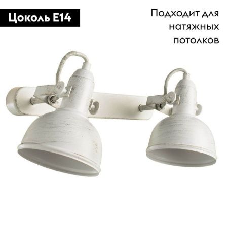 Спот Arte Lamp Martin (Мартин) A5213AP-2WG