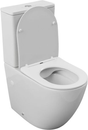 Чаша унитаза напольная Aquanet Cetus Cetus 2.0 C1 цвет белый без бачка с сиденьем микролифт безободковая каскадный смыв