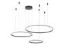 Люстра подвесная Zortes Ringolight (Ринголигхт) ZRS.33321.75F