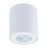 Светильник накладной Arte Lamp Tino (Тино) A1469PL-1WH