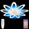Люстра потолочная Natali Kovaltseva LED Light (ЛЕД Лигхт) LED LAMPS 81151