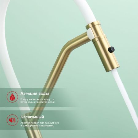 Смеситель для кухни Raglo R86 R86.41.03 на мойку золото