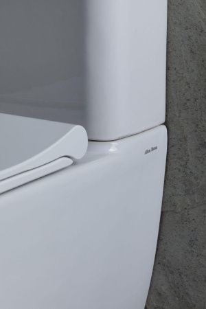 Чаша унитаза напольная Allen Brau Priority 4.31003.20 цвет белый без бачка с сиденьем микролифт безободковая каскадный смыв