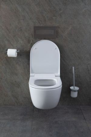 Чаша унитаза подвесная Allen Brau Priority 4.31001.20 цвет белый без сиденья безободковая каскадный смыв