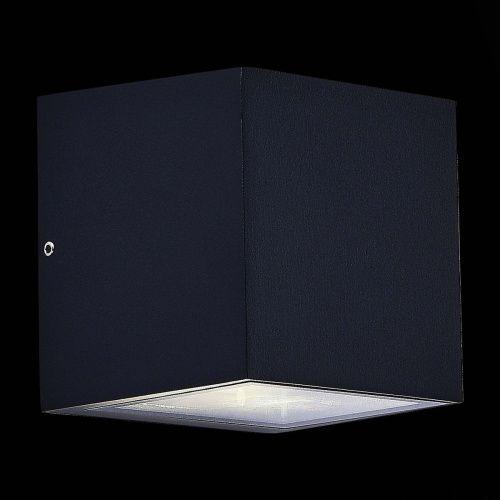 Уличный настенный светильник ST Luce Cipria (Циприа) SL9002.401.01 - фото 3