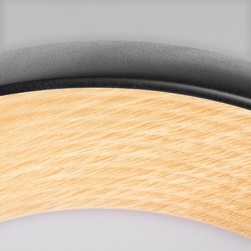 Светильник потолочный Loft It Folk 10255/500 Black - фото 4