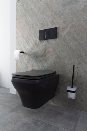 Чаша унитаза подвесная Allen Brau Infinity 4.21011.AN цвет черный без сиденья безободковая каскадный смыв