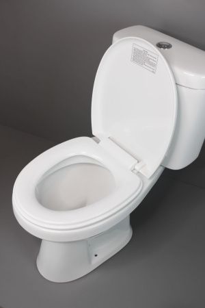 Унитаз напольный с бачком Creo Сeramique PROJECT COMBO-PR1002 белый с сиденьем с микролифт душевой смыв